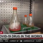 GSU researchers develop oral drug that suppresses COVID-19 in 20 hours